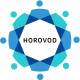 Horovod Training in Latvia