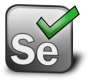 Selenium Training in Latvia